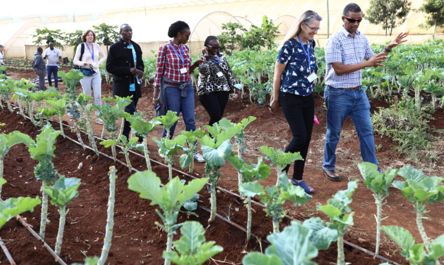 Fairtrade General Assembly - Farm visits