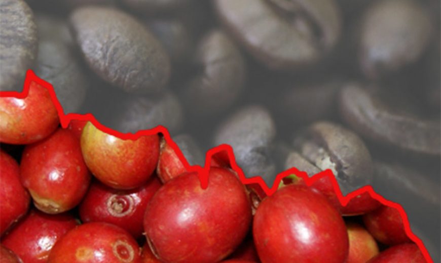 2018 FT Amer Coffee Price 800