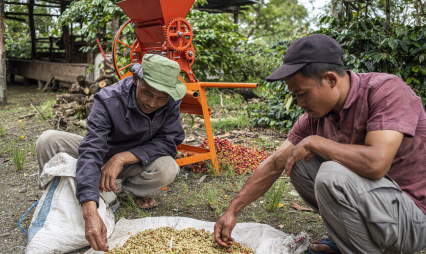 2021 Indonesia Koptan Gayo Megah Berseri2