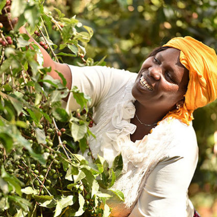 22155 Women Coffee Kabngetuny 425