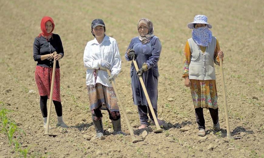 27128 Female Workers Kyrgyzstan 870