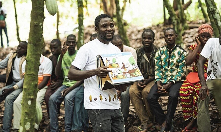 Cocoa ECAKOOG Cote dIvoire_870