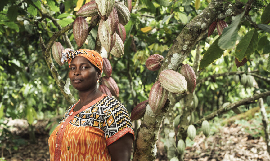 Cocoa ECAKOOG Ivory Coast 2020