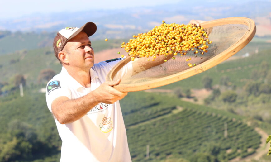 Taza Dorada Competition