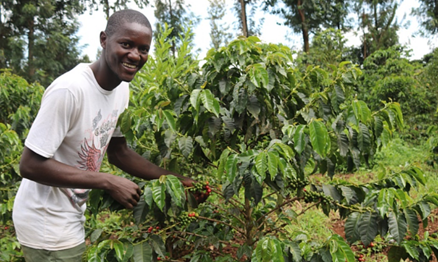 Naftali, one of the beneficiaries of the East Africa Youth Project, on his coffee farm.